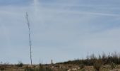 Tour Wandern La Roche-en-Ardenne - rando samrée 19-03-2024 - Photo 18