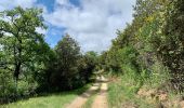 Trail Walking Seynes - Le tour du Mont Bouquet - Photo 16