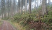 Randonnée Marche Stoumont - 10km sous la pluie autour de Lorcé - Photo 4