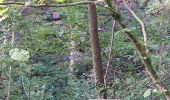 Randonnée Marche Esneux - hout si plou - Photo 2