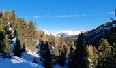 Randonnée Raquettes à neige La Plagne-Tarentaise - Bellecôte, Plagne Soleil, Centre, 1800 - Photo 8