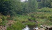 Tocht Stappen Saint-Sauveur-Camprieu - Col du Faubel  lac Camprieu Col du faubel - Photo 10