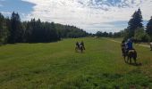 Tour Reiten Longchaumois - rando Jura 2020 route j3 - Photo 1