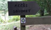 Excursión Senderismo Aydat - Puy de Vichatel depuis la Garandie - Photo 13