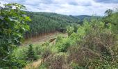 Trail Walking Houffalize - Cetturu 300725 - Photo 5