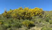 Excursión Senderismo Le Bar-sur-Loup - Callivore2 - Photo 9