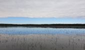 Tour Wandern Belval-en-Argonne - Les étangs de Bel Val 51 - Photo 4