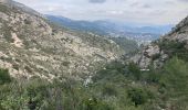 Trail Walking Roquevaire - Garlaban  - Photo 10