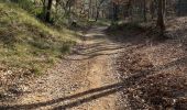 Tour Wandern La Roque-d'Anthéron - PF-La-Roque-d'Anthéron - La Chaîne des Côtes - Reco - Photo 3