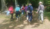 Excursión Senderismo Épinal - Dounoux - Photo 14