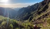 Tour Wandern São Roque do Faial - Pico Arieiro - Pico Ruivo - Photo 3