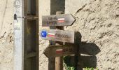Trail Walking Esvres - Larçay - le Chêne Pendu GR46 GR655 Veigné Montbazon - 23.2km 230m 5h20 (25mn) - 2021 08 11 - Photo 1
