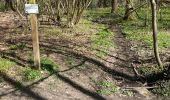 Excursión Senderismo Chaumont-Gistoux - BE-Chaumont-Gistoux - Le Bercuit par Dion-le-Val - blog le bruant wallon - Photo 12