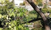 Randonnée Marche Saint-Cirq-Lapopie - ST CIRQ LA POPIE - Photo 1