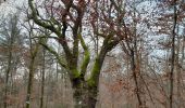 Tour Wandern Rochefort - marche ADEPS à  Rochefort. - Photo 12