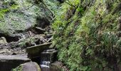 Randonnée Marche Porto Moniz - Gorge de la Ribeira da Janela et sa belle cascade (Rother n°60) - Photo 20
