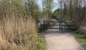 Trail Walking Condette - Harde lot Lac des miroirs  - Photo 2