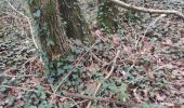 Trail Walking Luçon - champignon - Photo 1