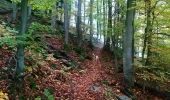 Trail Walking Ammerschwihr - Trois Épis le rocher du corbeau  - Photo 11