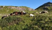 Tour Wandern Névache - des Drayères à Terres rouges - Photo 10