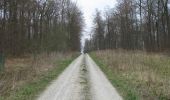 Trail On foot Nieste - Premiumweg Niester Riesen - Photo 3
