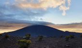 Randonnée Marche Sainte-Rose - Piton de Bert - Photo 3