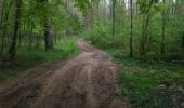 Trail Walking Virton - Lamorteau  -  Balade_VTT_28kms - Photo 9