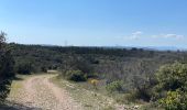 Tocht Stappen Nîmes - Clos de Gaillard - Photo 1