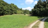 Tour Zu Fuß Gemeinde Heiligenkreuz - Siegenfeld - Heiligenkreuz - Dornbach - Photo 3