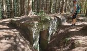 Trail Walking Grandfontaine - Positions fortifiées du Donon sentier des casemates - nord - Photo 6
