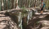 Excursión Senderismo Grandfontaine - Positions fortifiées du Donon sentier des casemates - nord - Photo 6