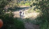 Tocht Stappen Moulès-et-Baucels - baucel  avec passage du pont - Photo 3