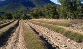 Excursión Senderismo Aouste-sur-Sye - Grane jour 2 - Photo 3