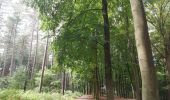 Tocht Stappen Court-Saint-Étienne - Dans le bois Sainte Catherine... - Photo 6