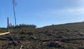 Trail Walking La Roche-en-Ardenne - Un petit tour dans les fagnes de la goutte en partant de Samree  - Photo 12