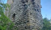 Randonnée Marche Sprimont - Aywaille : La Heyd des Gattes,  Carrière de Goiveux, Chateau de L'Emblève - Photo 2