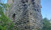 Trail Walking Sprimont - Wikiloc - Aywaille : Château de l Emblève, Château de Florzé, Heid de Gâtes - Photo 2