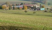 Tocht Te voet Adelsheim - Rundwanderweg Wemmershof 1: Römer-Weg - Photo 7