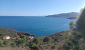 Tocht Stappen Port-Vendres - paullile - Cap bear via la mer retour via les vignes  - Photo 9