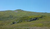 Percorso Marcia Albepierre-Bredons - Le Plomb du Cantal depuis Prat-De-Bouc - Photo 4