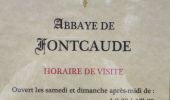 Randonnée Marche Cazedarnes - TBG - ACAD - Abbaye de Fontcaude - Trace finale - Photo 4