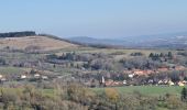 Tocht Stappen Champey-sur-Moselle - Champey La Frontière  - Photo 5