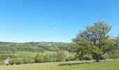 Randonnée Marche Stoumont - moulin du ruy . ruy . andrimont . cour . borgoumont . moulin du ruy - Photo 16