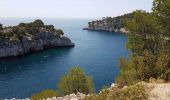 Tour Wandern Cassis - De cassis à luminy (Marseille) - Photo 4