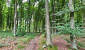 Trail Walking Braine-le-Comte - la Sablière du bois - Photo 1