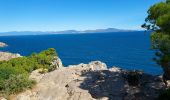 Tocht Stappen Torroella de Montgrí - Cala Montgo à l'Escala - Photo 3