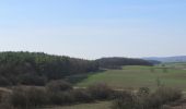 Trail On foot Hofheim in Unterfranken - Lauftour HOH1 - Photo 4