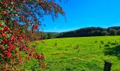 Excursión Senderismo Gedinne - Marche Adeps à Gedinne - Photo 13