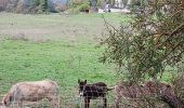 Trail Walking Camps-la-Source - Rocher du Gueit- Camps la Source-06-11-2024 - Photo 5