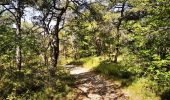 Tour Wandern Mirabel-et-Blacons - Chapelle Saint-Christophe - Charsac - Photo 10